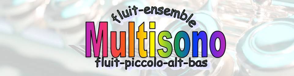 Fluit-ensemble Multisono
